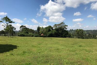 21 ac Land in Cianda - 2