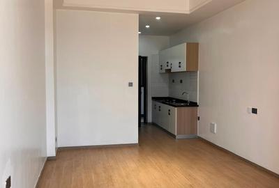 Studio Apartment with Swimming Pool in Kilimani