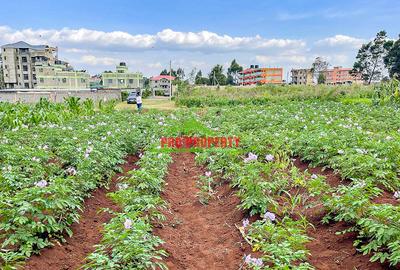 0.05 ha Commercial Land at Sigona - 4
