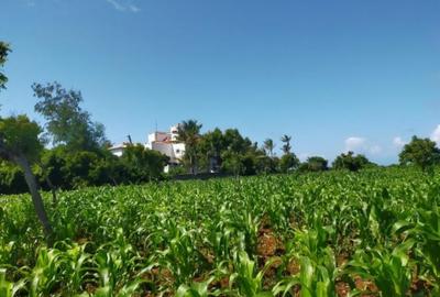 2 ac Land in Bofa - 3