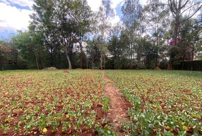Land in Karen - 2