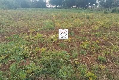 10 ac Land at Enabelbel