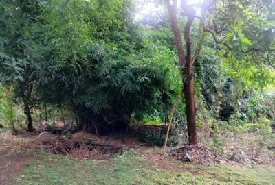 0.25 ac Land in Rhapta Road - 2