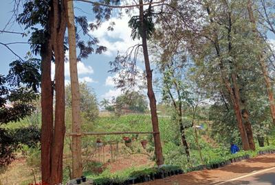 0.5 ac Land in Nyari - 3