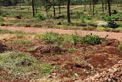 Residential Land at Gatanga Road - 2