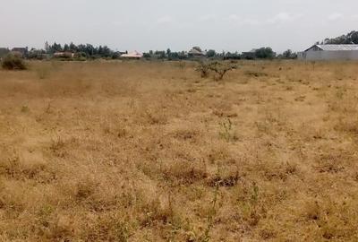 1 ac Residential Land at Sifa Estate