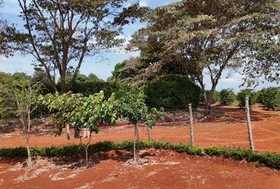 10,000 ft² Residential Land in Kenyatta Road - 4