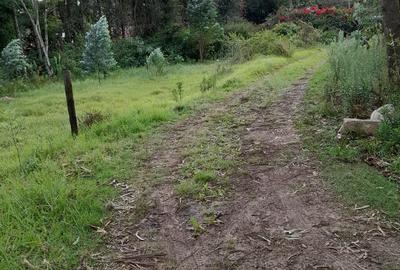 0.5 ac Residential Land in Karen