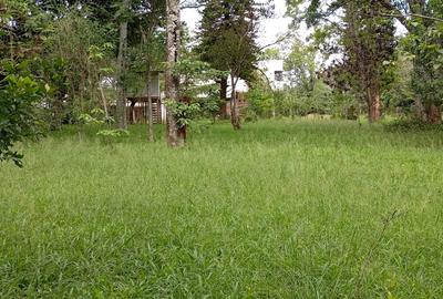 0.5 ac Land at Hardy - 2