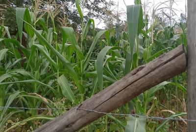 Land in Kenyatta Road - 2