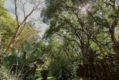 0.87 ac Land at Convent Drive