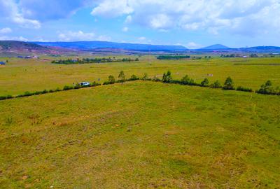 Residential Land in Naivasha - 3