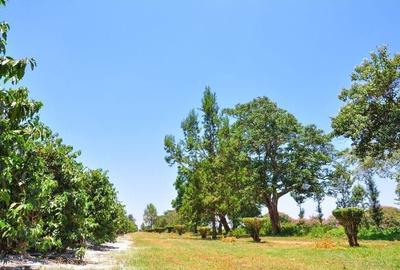 0.0500 ha Residential Land in Juja