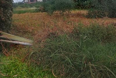 1 ac Land at Windsor