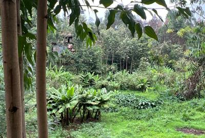 0.42 ac Residential Land at Kirawa Road - 4