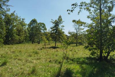 Commercial Land at Karen