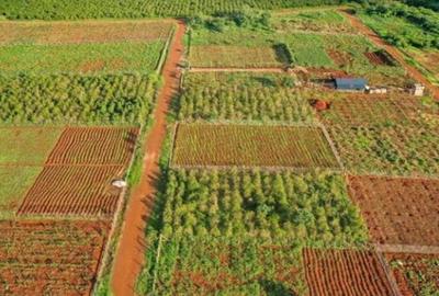 Residential Land in Ruiru