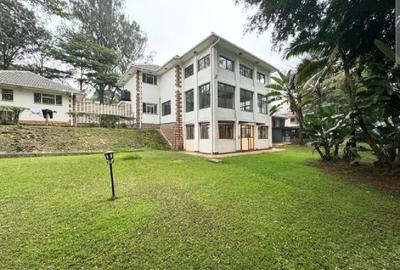 Commercial Property with Backup Generator in Lavington