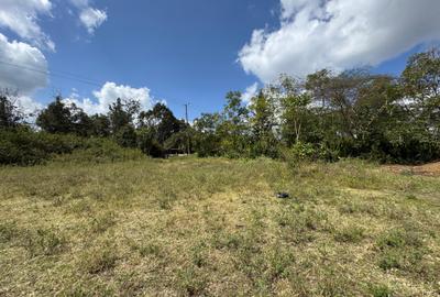 1 ac Land in Karen