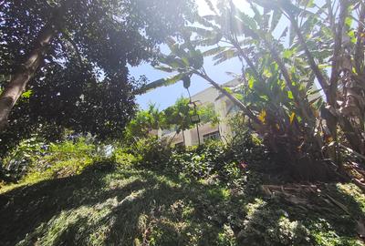 Furnished Studio Apartment with Gym in Gigiri - 4