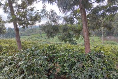 100 ac Land at Thika Road - 3