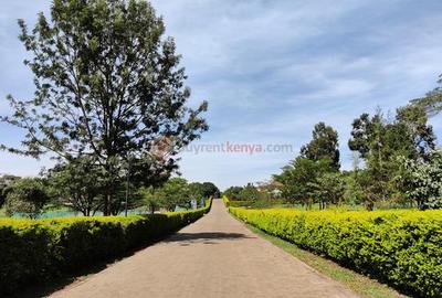 Residential Land at Rhino Park Road