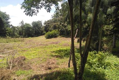 500 m² Residential Land in Ngong