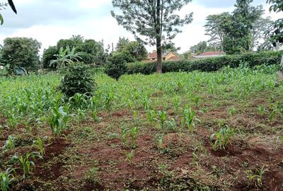 Land at Mimosa Road - 2