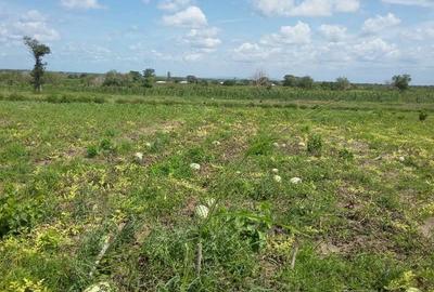 Land in Malindi