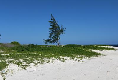 Land in Kilifi