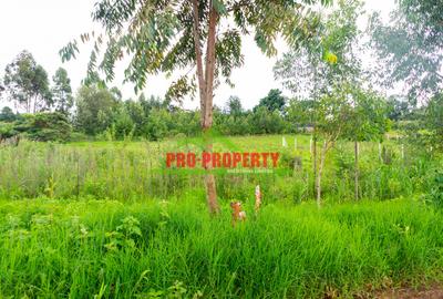 0.5 ha Commercial Land at Ondiri