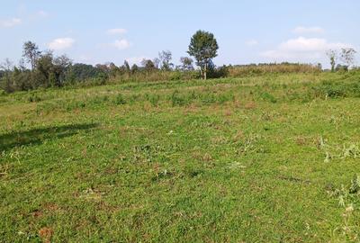 36 ac Land in Kikuyu Town - 3