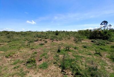 2 ac Residential Land at Nanyuki