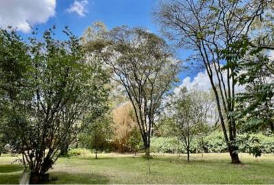 Residential Land at Ndege Road