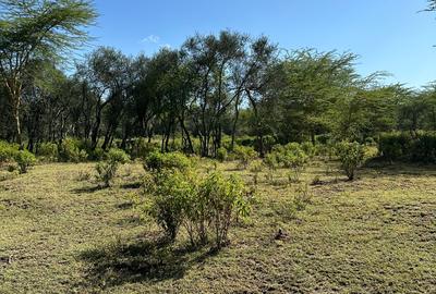 0.25 ac Residential Land at Lake Elementaita