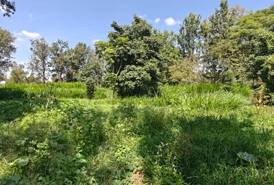 1.1 ac Land in Karen