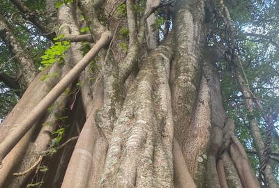 5 Bed House with En Suite at Windy Ridge - 4