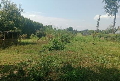 1 ac Land at Ngecha - 3