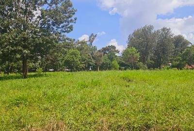 4.5 ac Land at Karen