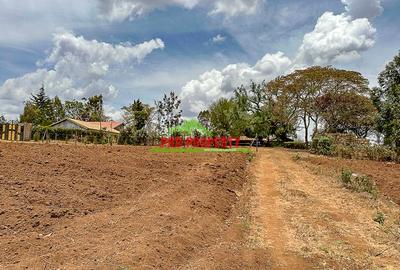 0.2 ha Residential Land in Kamangu