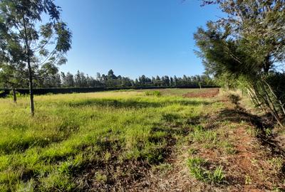3 ac Land at Kibiko - Ngong