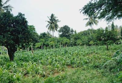 1 ac Land in Mtwapa