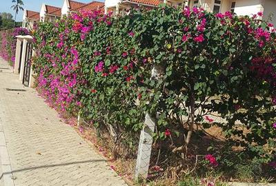 4 Bed Apartment with En Suite in Nyali Area