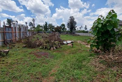 Residential Land at Mimosa Garden