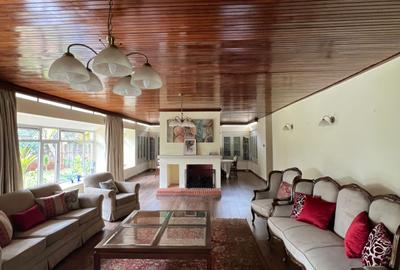 Commercial Property with Fibre Internet in Lavington - 4