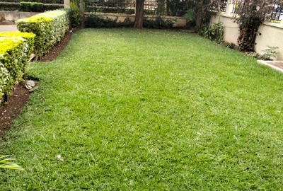 5 Bed Townhouse with En Suite in Lavington