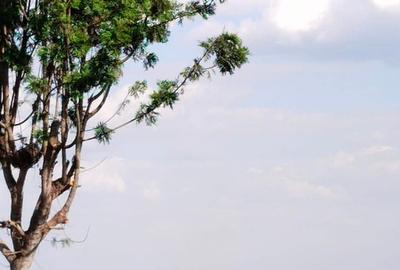 2 ac Residential Land at Tigoni