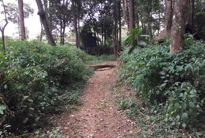 Residential Land in Karen - 3