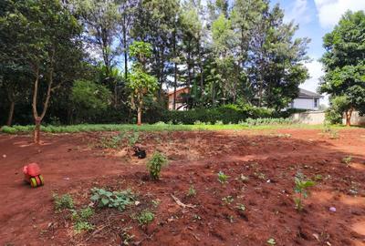 0.5 m² Land in Kitisuru