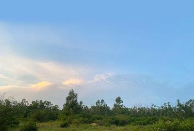 1,012 m² Land at Funzi Island Beach - 4